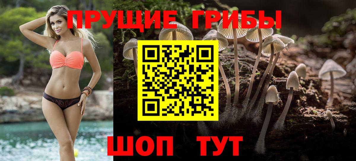 Псилоцибиновые грибы GOLDEN TEACHER Казань